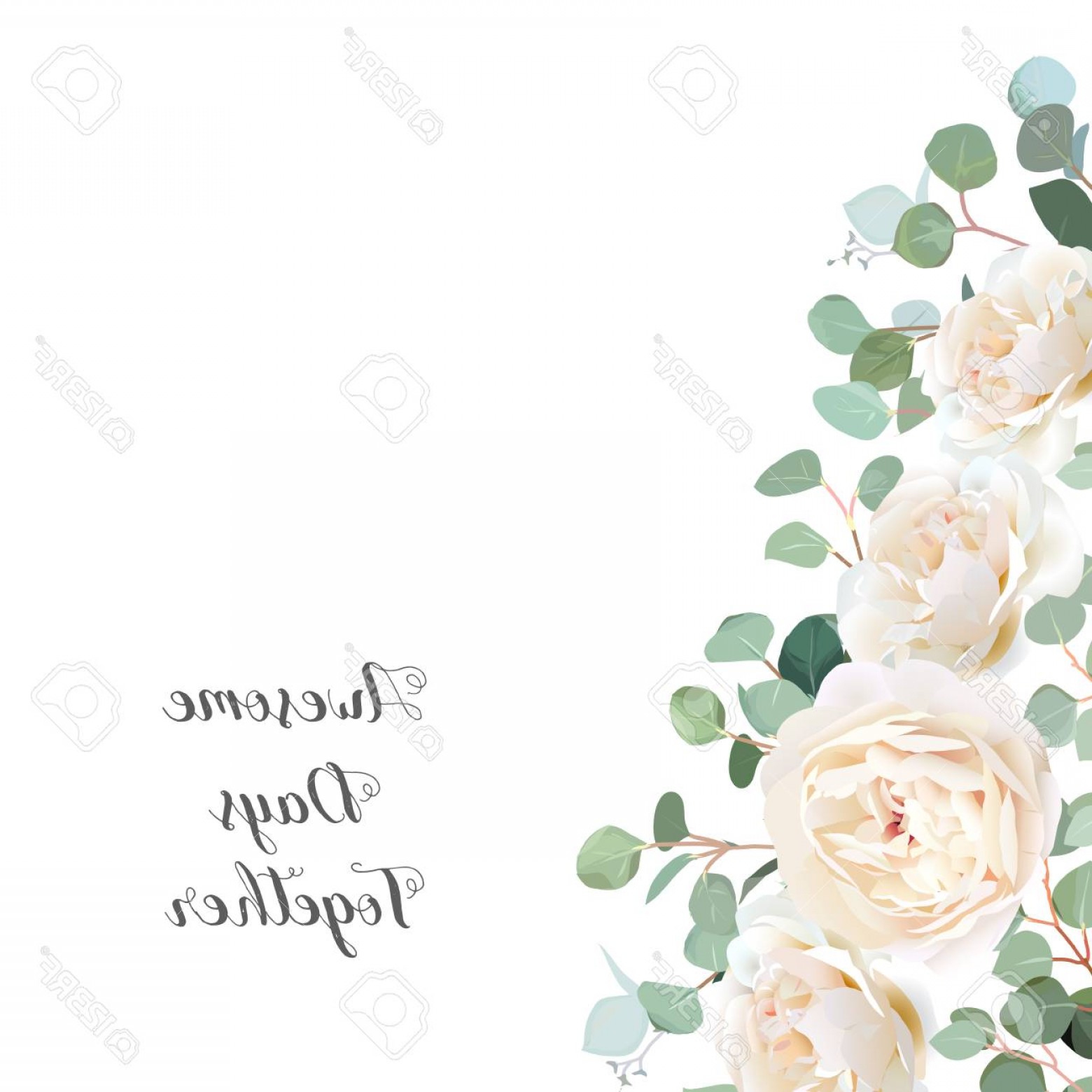 Photostock Vector Creamy White Roses And Silver Dollar Eucalyptus 1560x1560 Photostock Vector Creamy White Roses And Silver Dollar Eucalyptus