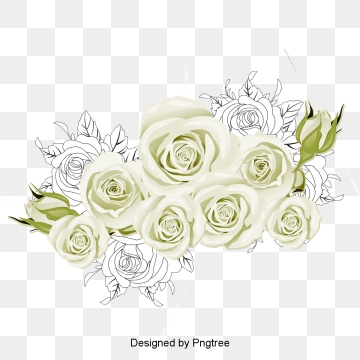 White Rose Vector at Vectorified.com | Collection of White Rose Vector