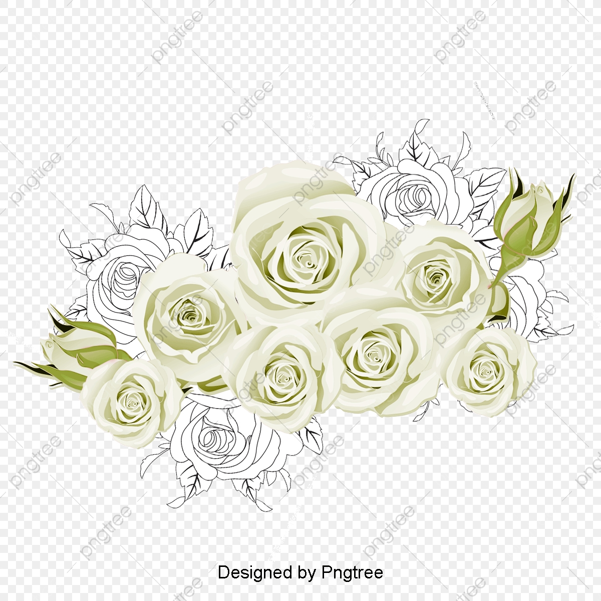 White Roses, Vector Rose, Rose Creative, Flowers Png Transparent 1200x1200 White Roses, Vector Rose, Rose Creative, Flowers Png Transparent
