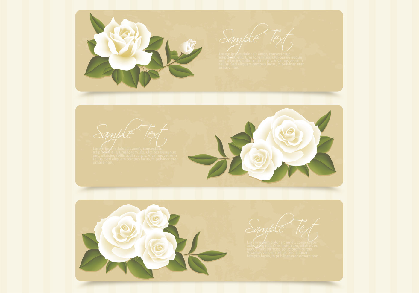 White Roses Free Vector Art 1400x980 White Roses Free Vector Art