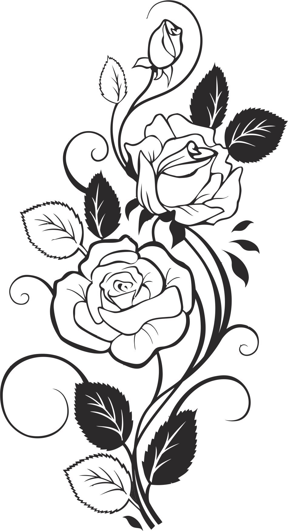 Black And White Rose Vector Graphic Design Vector 950x1749 Black And White Rose Vector Graphic Design Vector