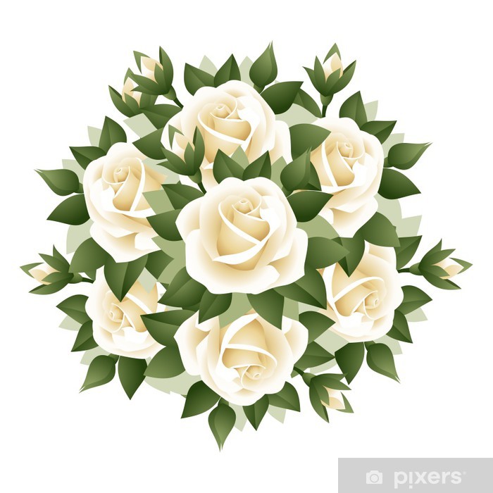 Bouquet Of White Roses Vector Illustration Wall Mural Pixers 700x700 Bouquet Of White Roses Vector Illustration Wall Mural Pixers