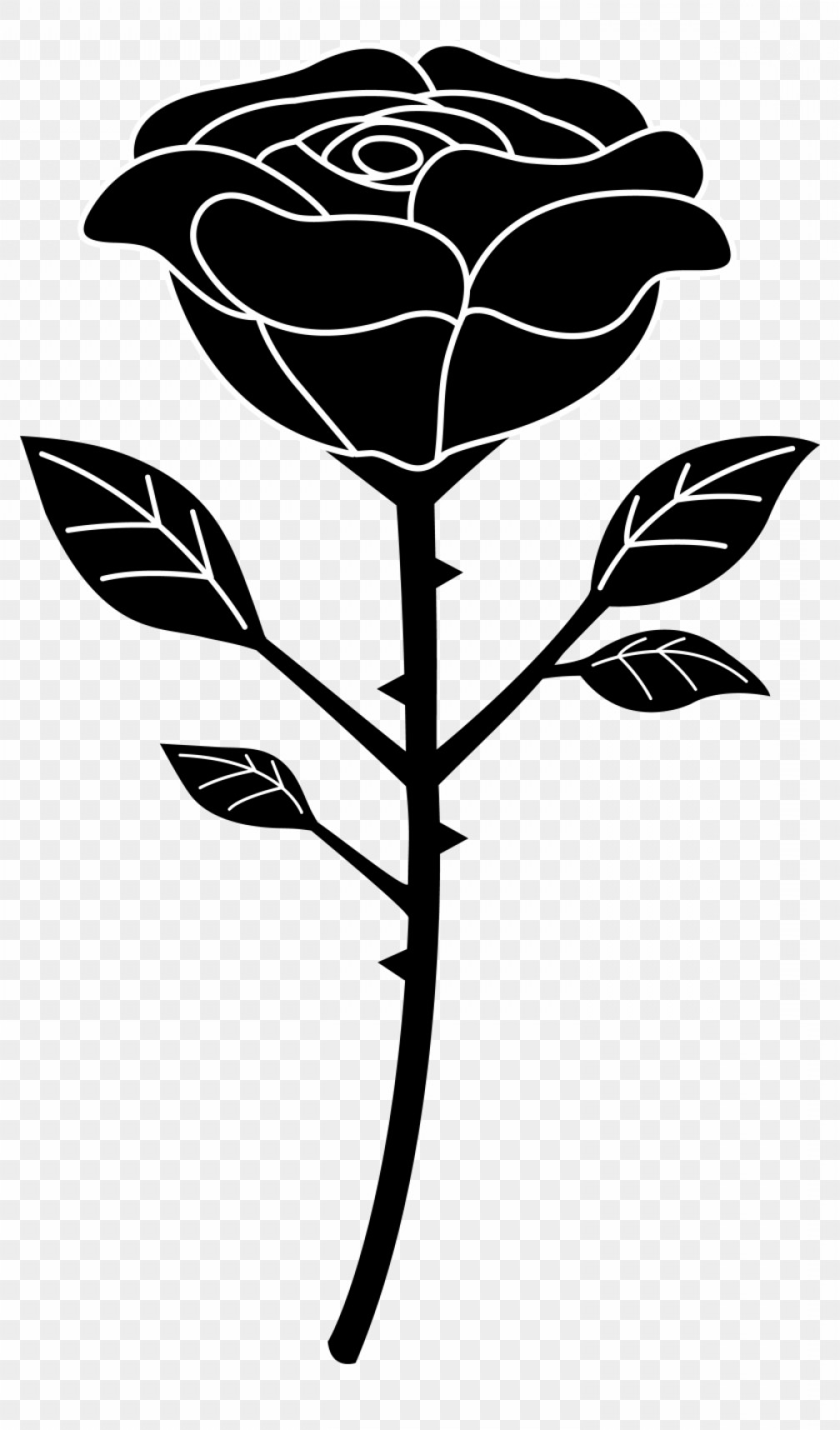 Orimhblack Rose Chefs Black And White Rose Vector Newwaysys 1008x1716 Orimhblack Rose Chefs Black And White Rose Vector Newwaysys