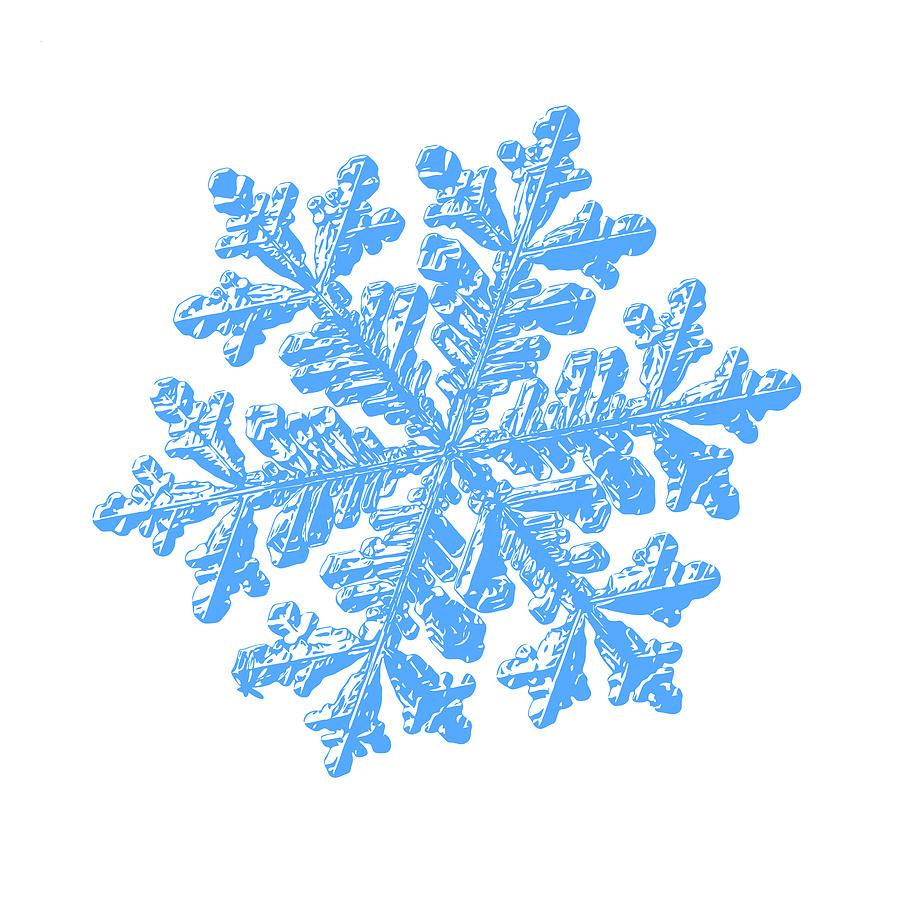 900x900 Snowflake Vector