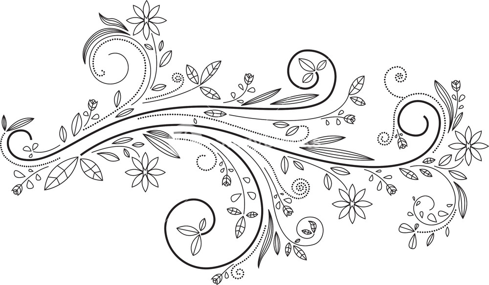 1000x584 White Flower Swirl Vector Png, Png Collections