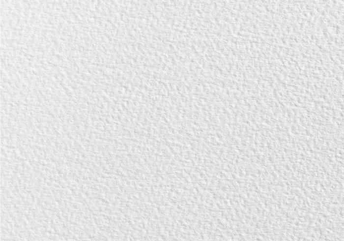 700x490 White Background Free Vector Art