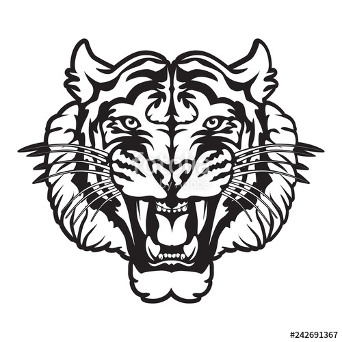 Roaring Tiger's Head Logo Isolated On White Black And White Tiger 500x500 Roaring Tiger's Head Logo Isolated On White Black And White Tiger