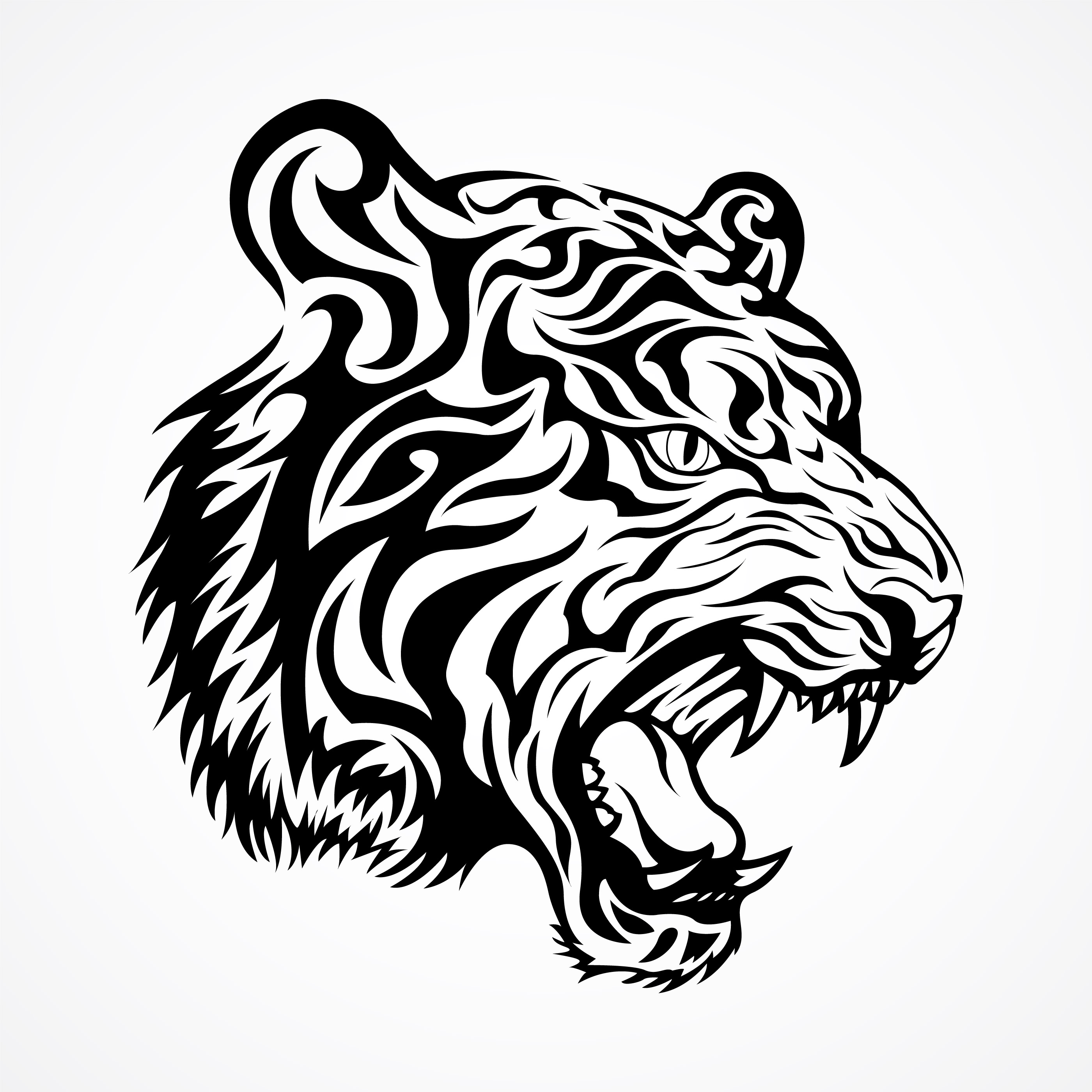 White Tiger Vector at Vectorified.com | Collection of White Tiger ...