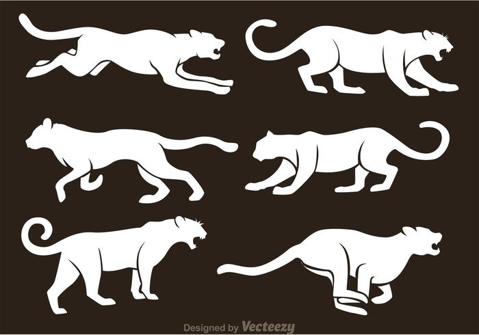White Tiger Silhouette Vectors 700x490 White Tiger Silhouette Vectors