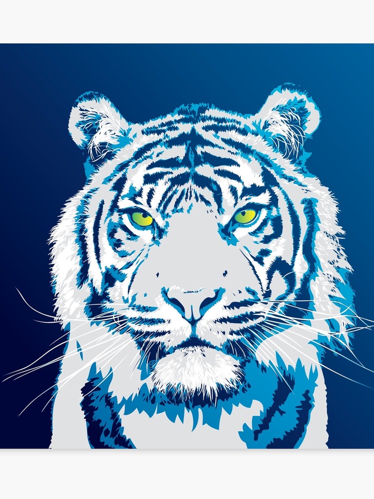 Cool Colorful Blue White Tiger Vector Art Canvas Print 750x1000 Cool Colorful Blue White Tiger Vector Art Canvas Print