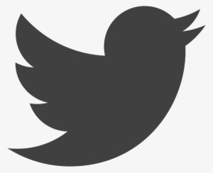 Twitter Logo Black Png, Transparent Twitter Logo Black Png Image 300x244 Twitter Logo Black Png, Transparent Twitter Logo Black Png Image