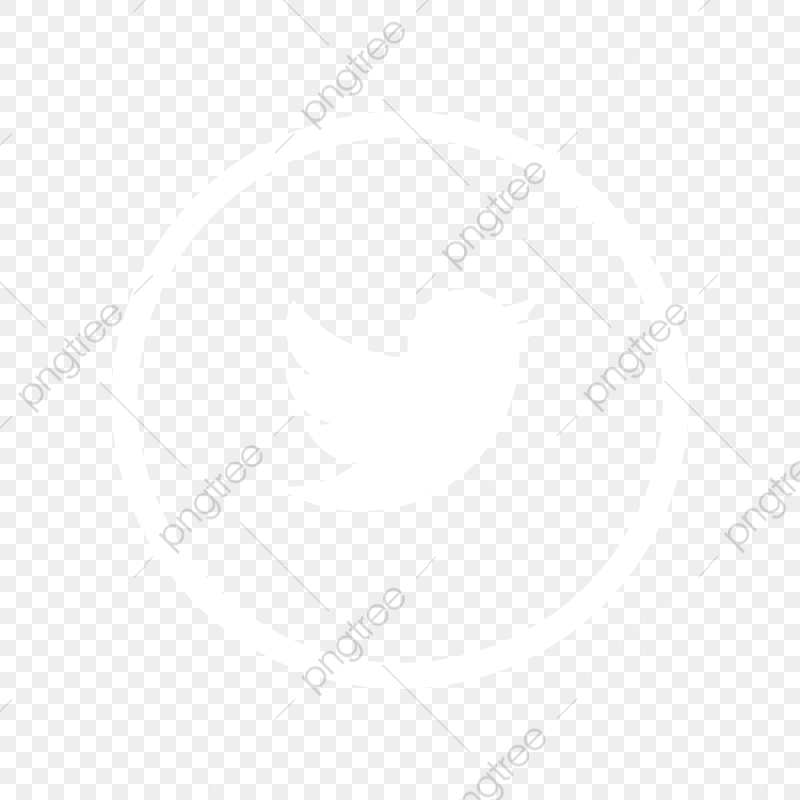 800x800 Twitter White Icon, Twitter Logo, Twitter Vector, Twitter Icon Png