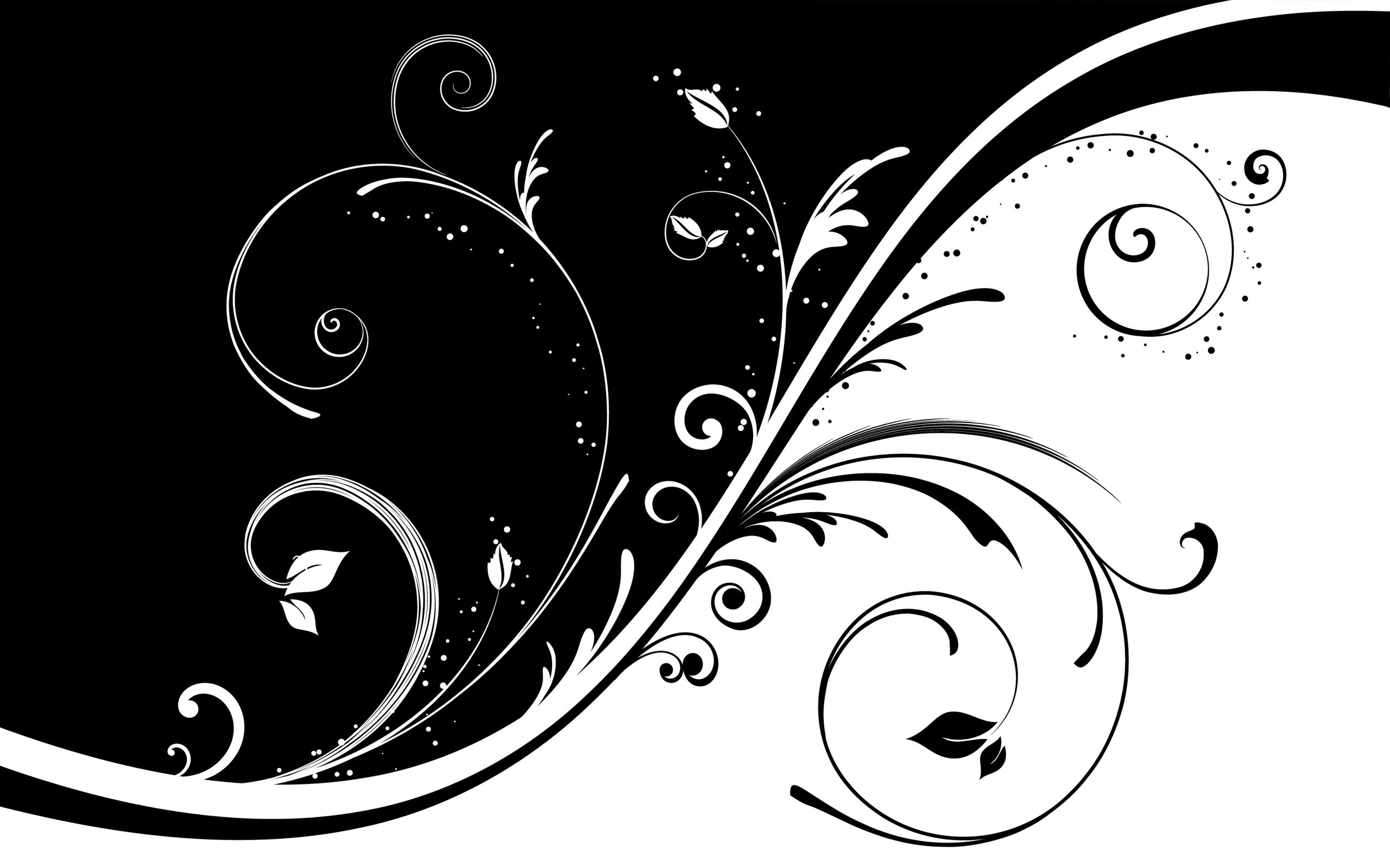 2560x1600 Black And White Vector