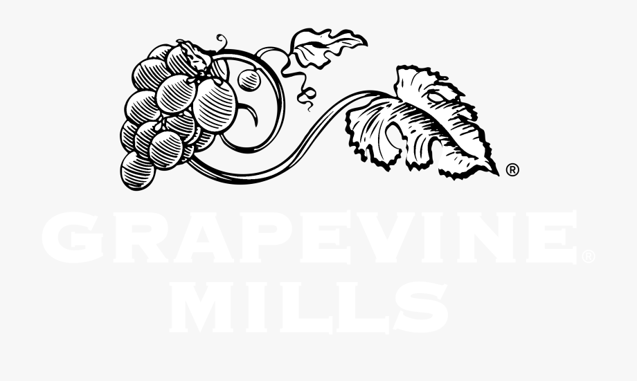 920x551 Grapevine Vector Black And White