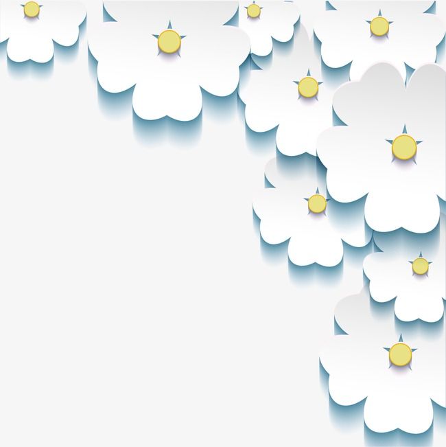 650x651 Three Dimensional White Floral Border, Three Dimensional, White