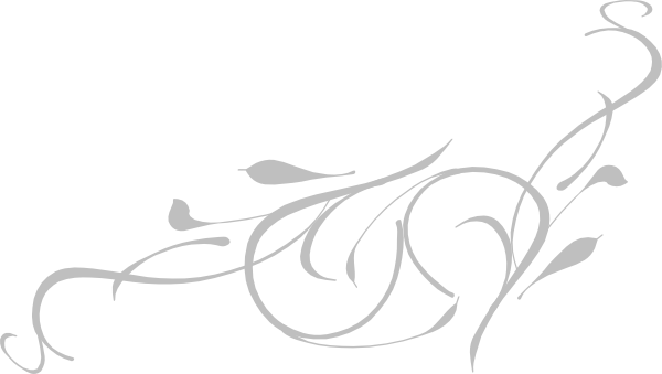 600x339 White Vector Png Png Image