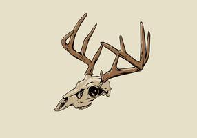 286x200 Deer Skull Free Vector Art