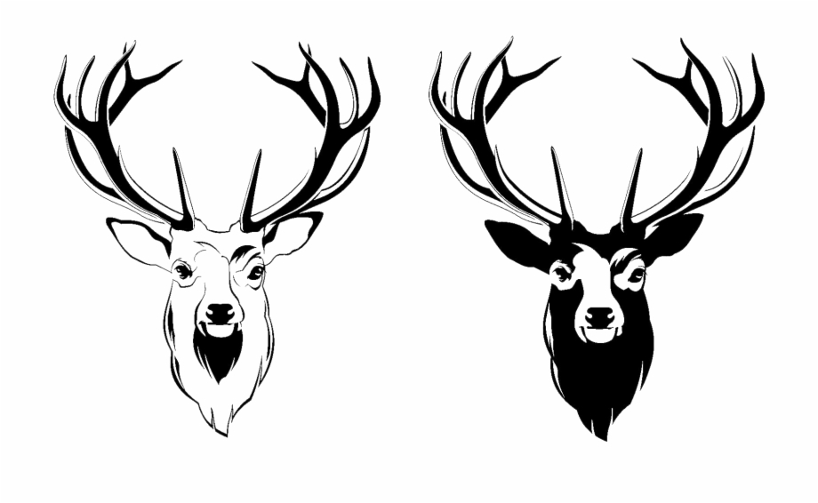 Whitetail Deer Head Vector at Vectorified.com | Collection of Whitetail