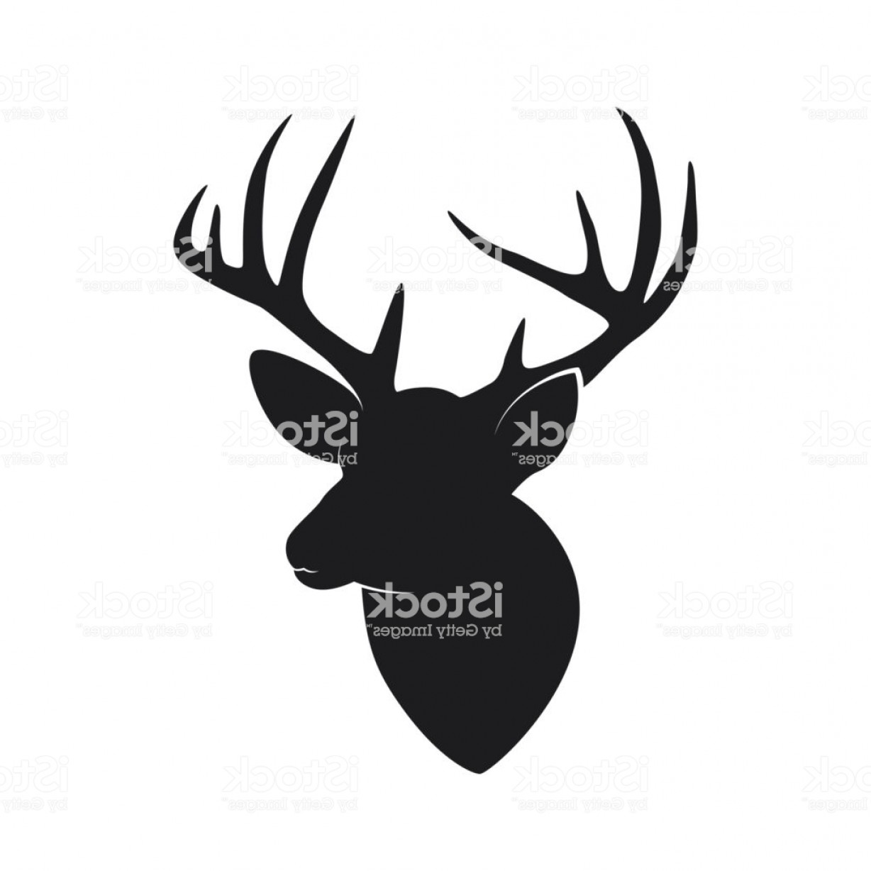 Download Whitetail Deer Head Vector at Vectorified.com | Collection ...