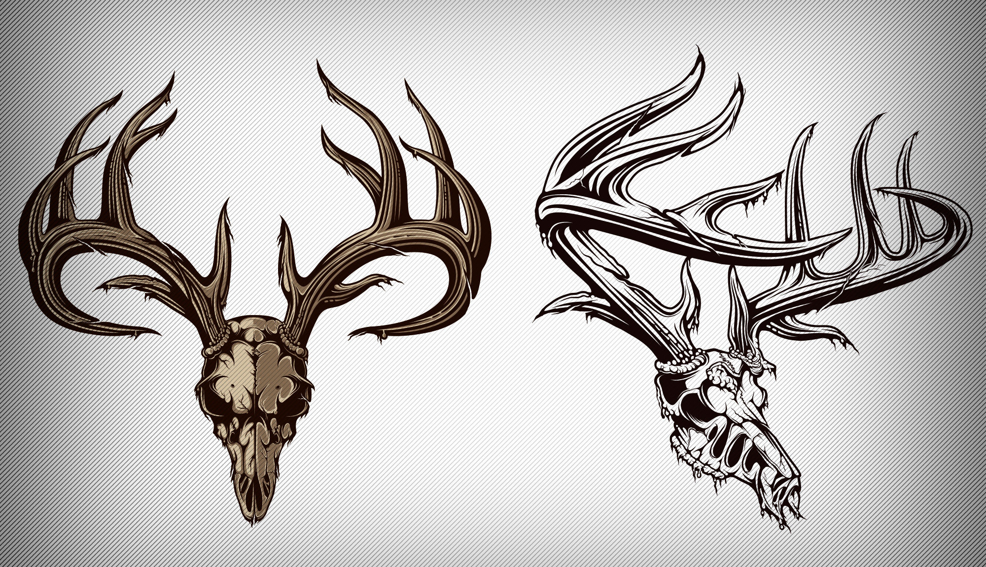 Whitetail Deer Head Vector at Vectorified.com | Collection of Whitetail