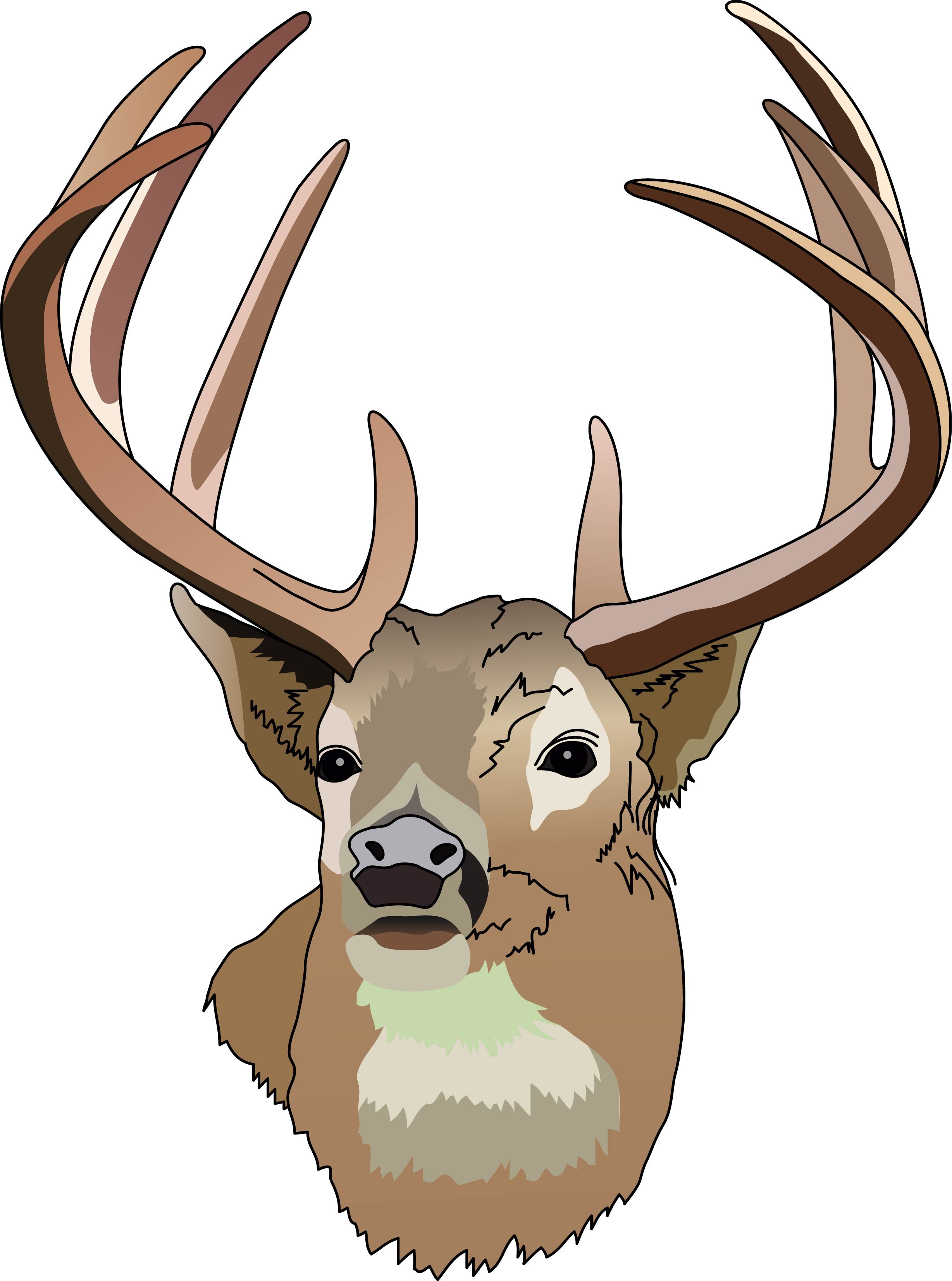 2457x3305 Deer Clipart Vector Clip For Free Download And Use Images