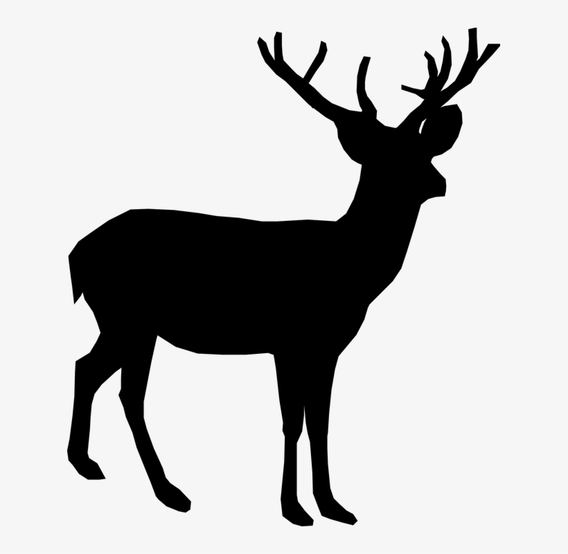 Download Whitetail Deer Vector at Vectorified.com | Collection of ...