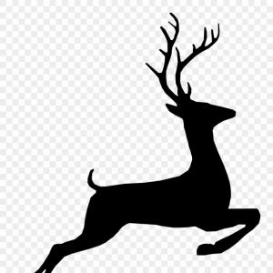 300x300 Unique Whitetail Deer Illustration Vector Photos Hoodamathrun