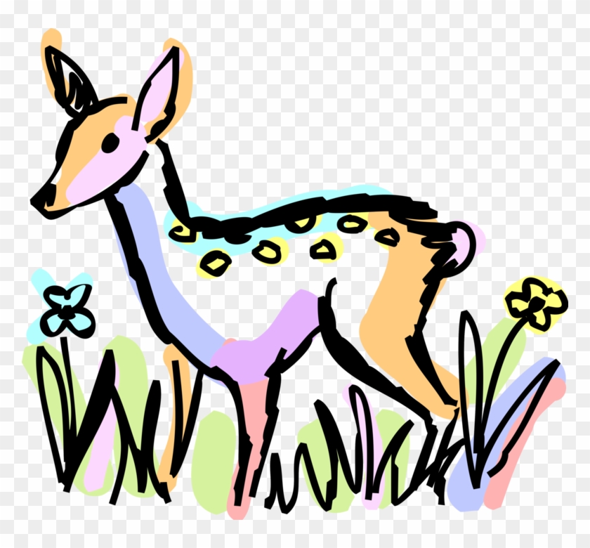 840x780 Vector Illustration Of White Tailed Or Whitetail Deer