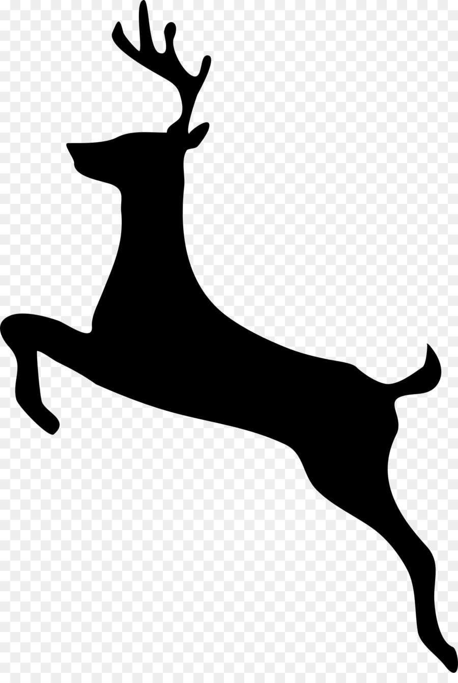 900x1340 White Background Clipart