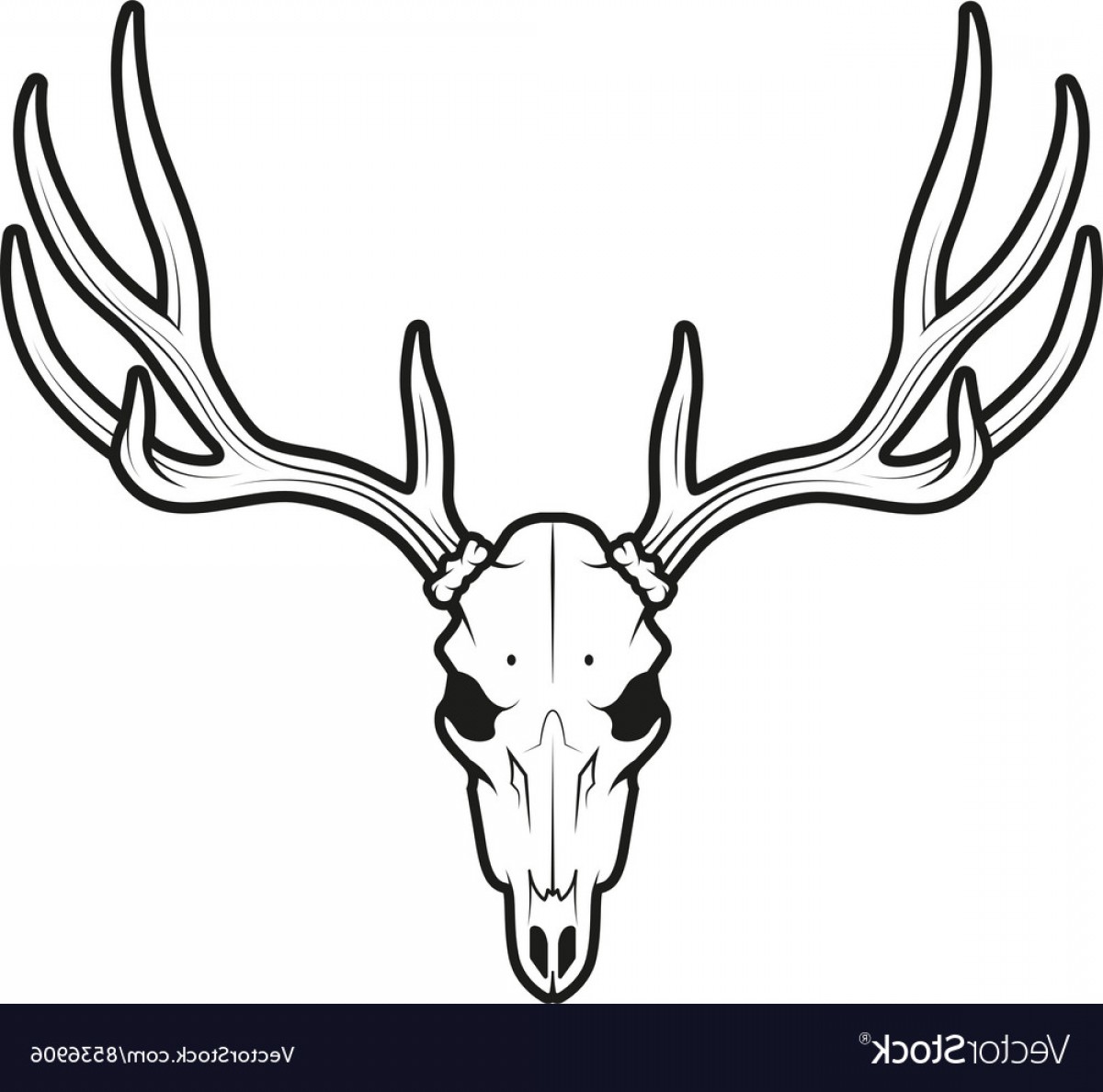 1200x1188 White Tail Deer Skull Vector Soidergi