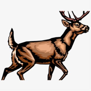 310x310 White Tailed Deer Clipart Vector