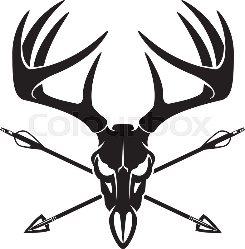 785x800 Whitetail Deer Buck Skull With Stock Vector Colourbox