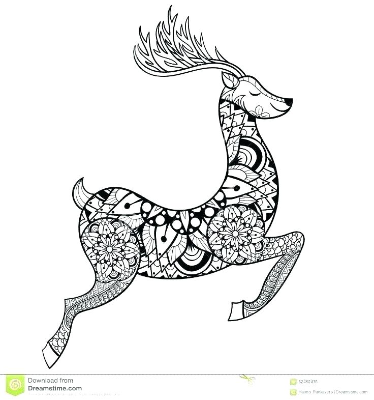 736x786 Coloring Pages Deer