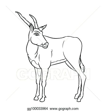 450x470 Deer Line Drawing