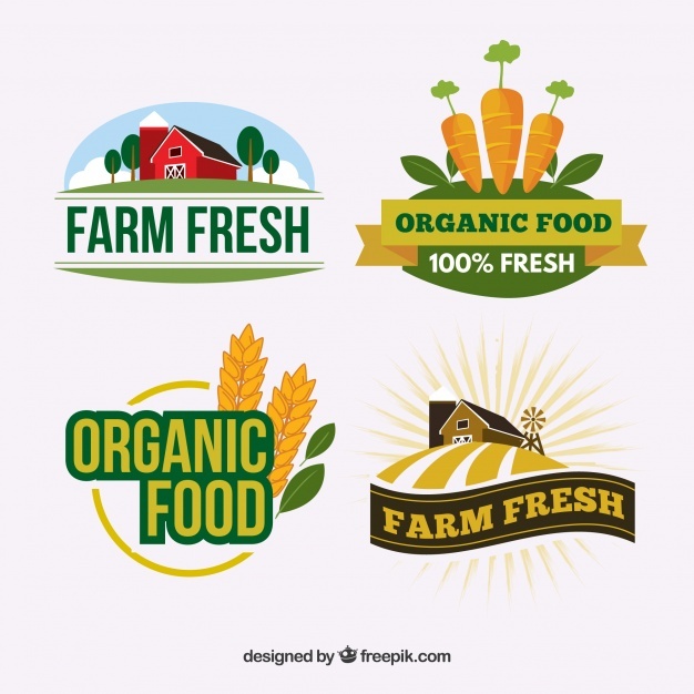 Fruit Logo Vectors, Photos And Free Download 626x626 Fruit Logo Vectors, Photos And Free Download