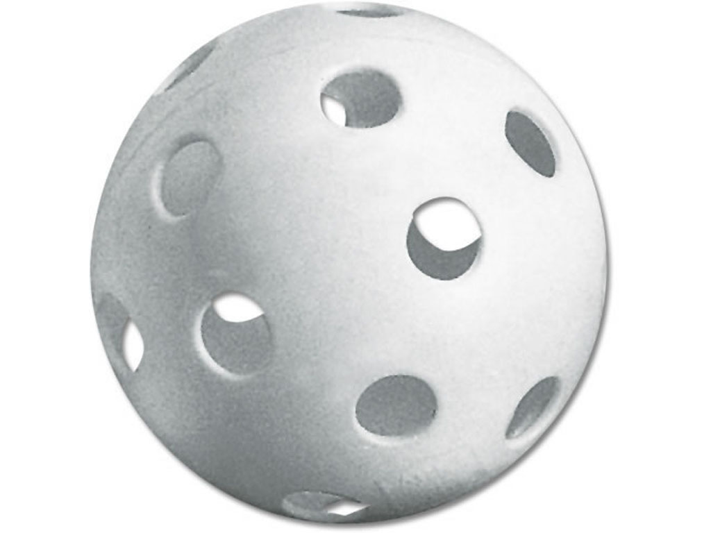 1024x768 Seamless Pickle Ball