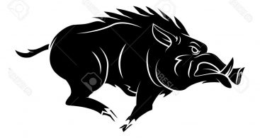 Hd Wild Hog Vector Library Vector Images Design 367x195 Hd Wild Hog Vector Library Vector Images Design