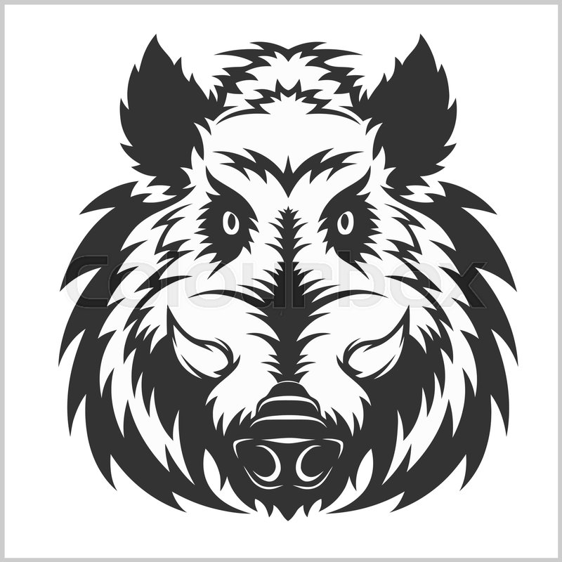 Wild Boar Head Logo Mascot Emblem 800x800 Wild Boar Head Logo Mascot Emblem