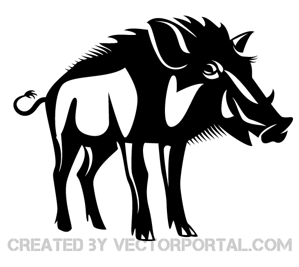 Wild Boar Vector Art Free Vectors Wild Boar, Vector Art 600x535 Wild Boar Vector Art Free Vectors Wild Boar, Vector Art