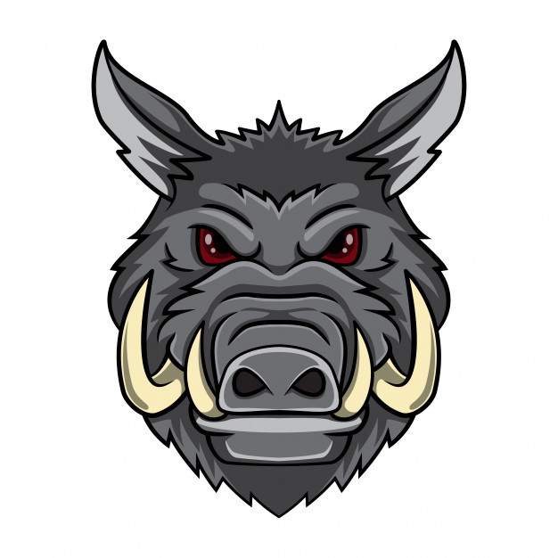 Wild Boar Vector Premium Download 626x626 Wild Boar Vector Premium Download