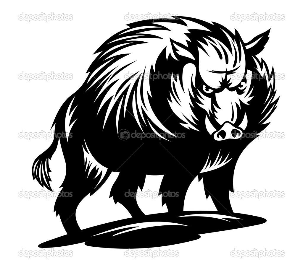 Wild Boar Stock Vector Buchan 1024x914 Wild Boar Stock Vector Buchan