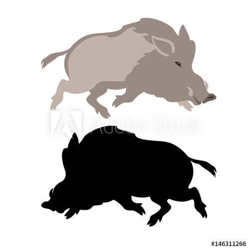 Wild Boar Vector Illustration Style Flat 500x500 Wild Boar Vector Illustration Style Flat