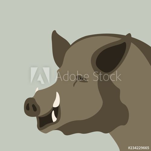 Wild Boar, Vector Illustration Flat Style 500x500 Wild Boar, Vector Illustration Flat Style