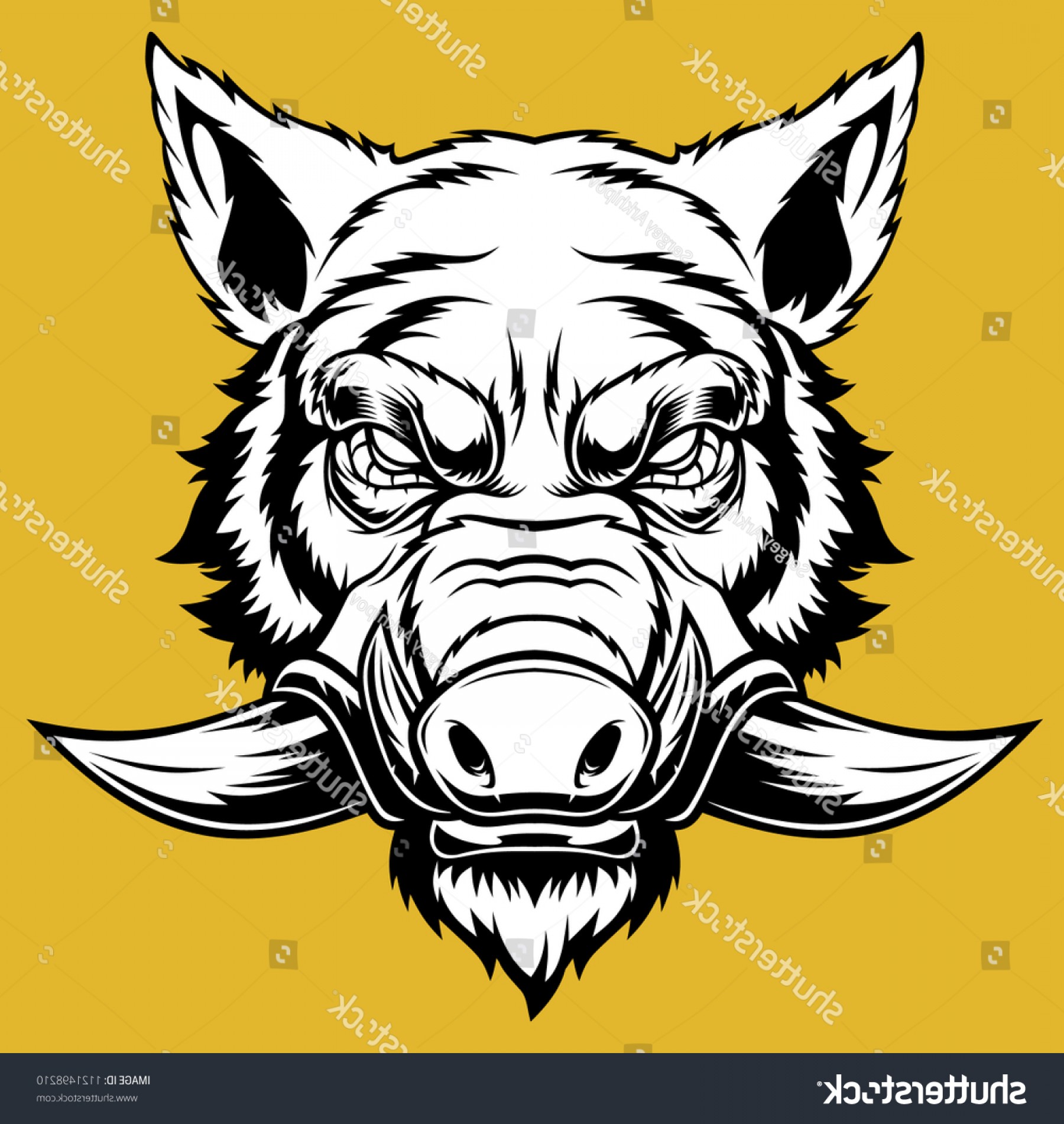 Boar Head Vector Soidergi 1800x1902 Boar Head Vector Soidergi