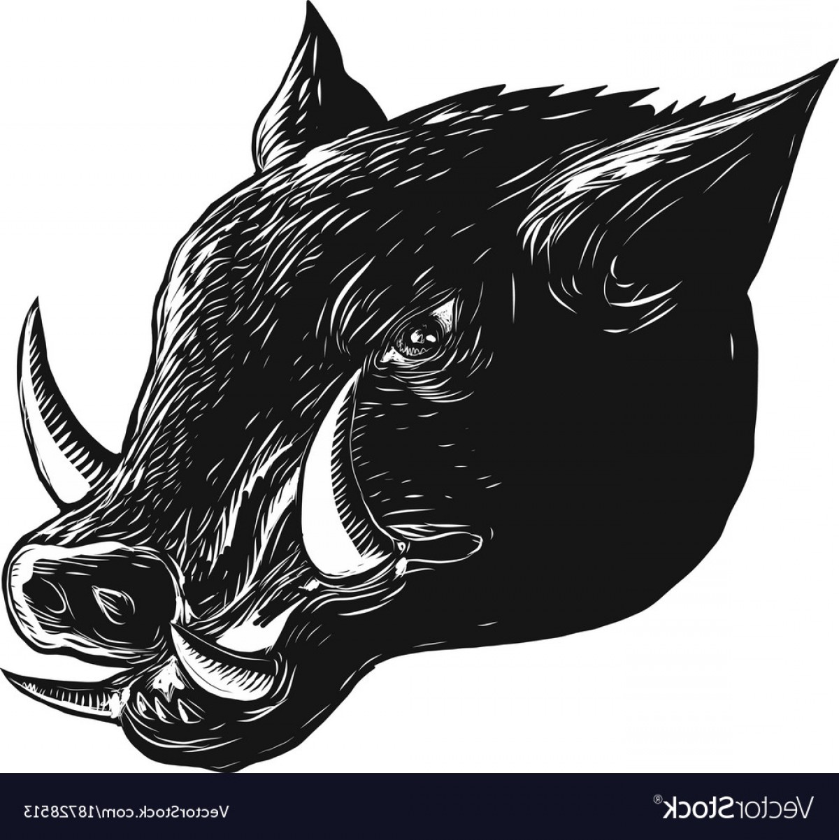 Razorback Vector Black And White Catchsplace 1200x1202 Razorback Vector Black And White Catchsplace