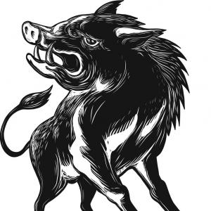 Stock Illustration Wild Boar Razorback Head Angry Hoodamathrun 300x300 Stock Illustration Wild Boar Razorback Head Angry Hoodamathrun