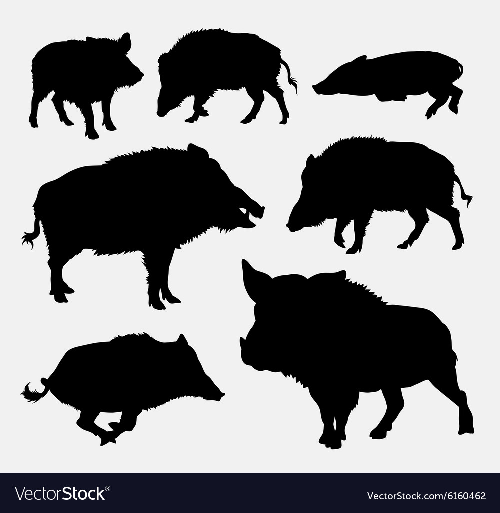 Wild Pig Silhouette 1000x1025 Wild Pig Silhouette