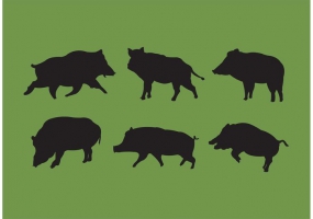 Wild Hog Free Vector Graphic Art Free Download 285x200 Wild Hog Free Vector Graphic Art Free Download