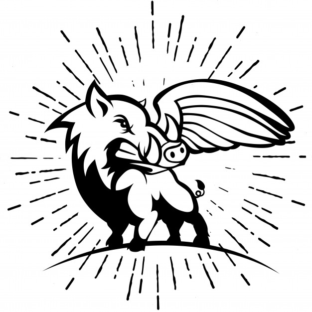 Wild Hog Or Boar With Wing Logo Vector Premium Download 626x626 Wild Hog Or Boar With Wing Logo Vector Premium Download