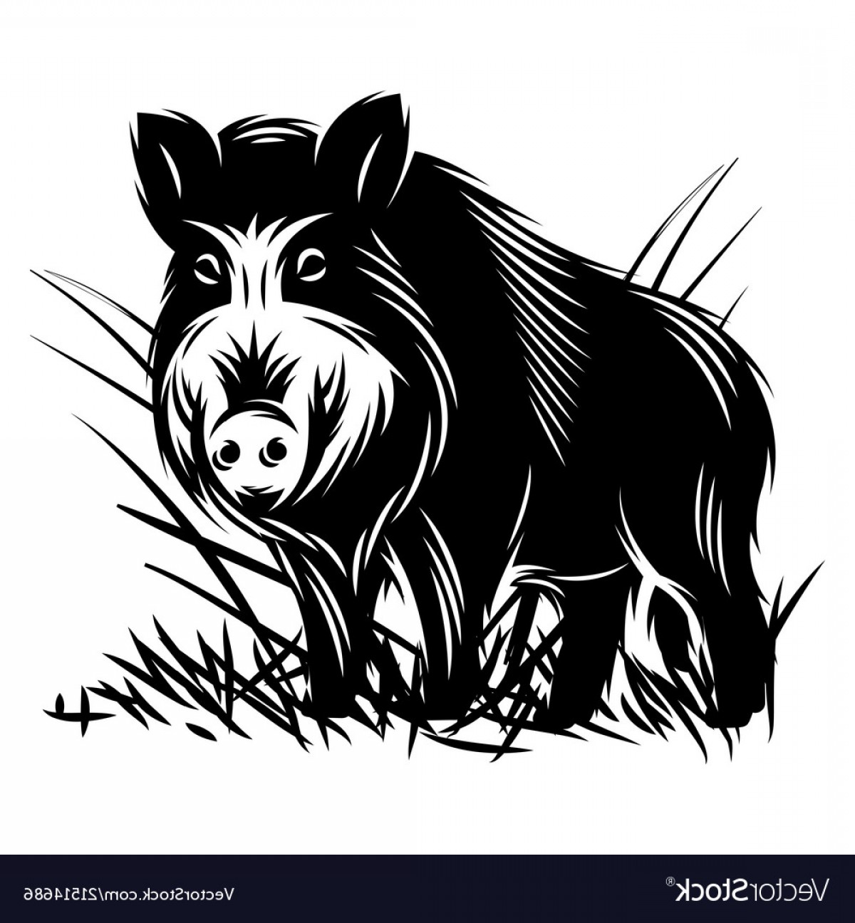 Wild Hog Clip Art at sasdestroyerblog Blog